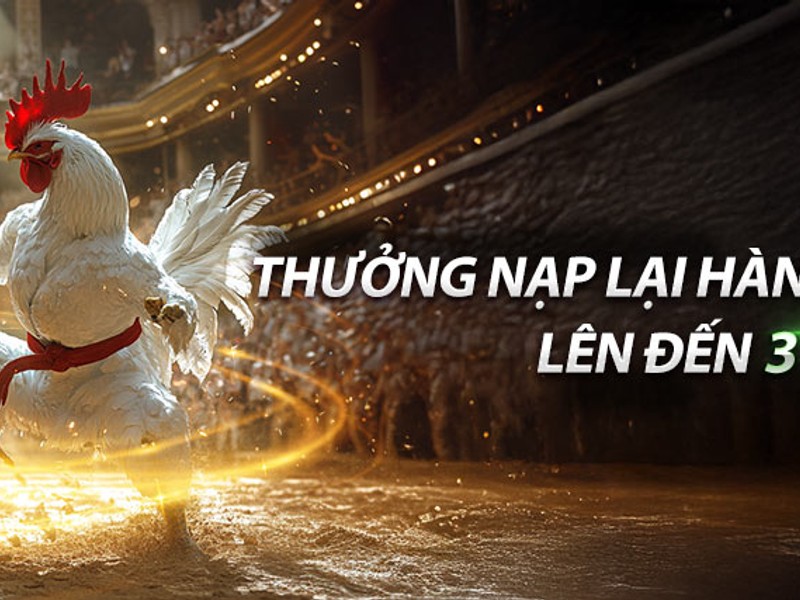 Hoàn trả hàng ngày mcw678 và hoàn tiền