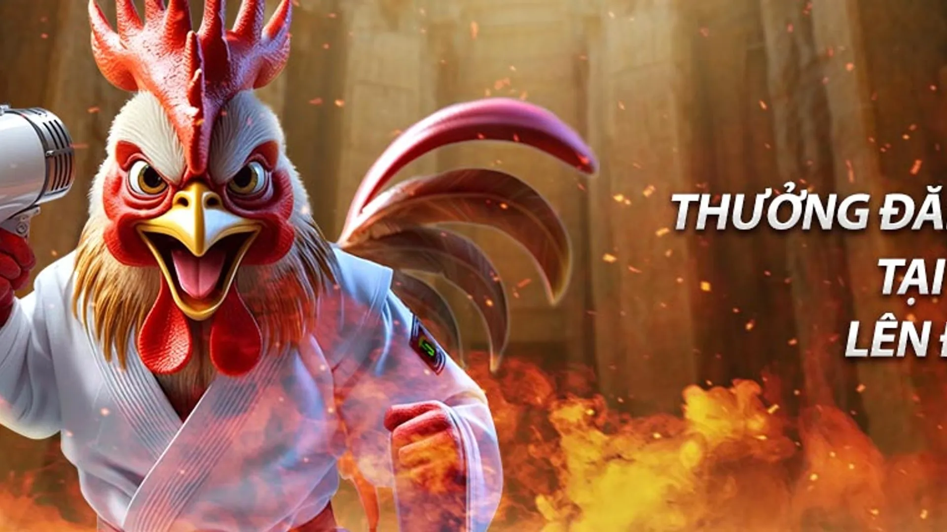 Các chương trình khuyến mãi mcw678