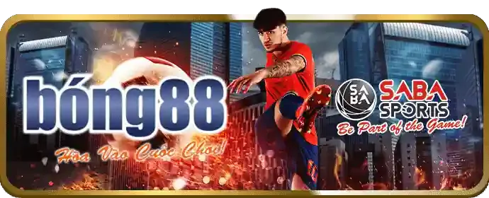 Biểu tượng hoàn trả cược thua